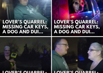 Lover’s Quarrel: Missing Car Keys, A Dog And DUI…