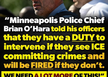 Minneapolis police chief urges residents to call cops on ICE agents during baffling presser