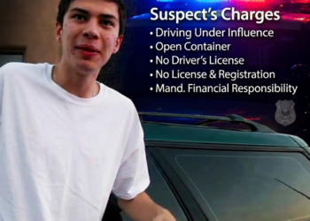 Stoned! – NO License, NO Plates, NO Insurance & Open Container!