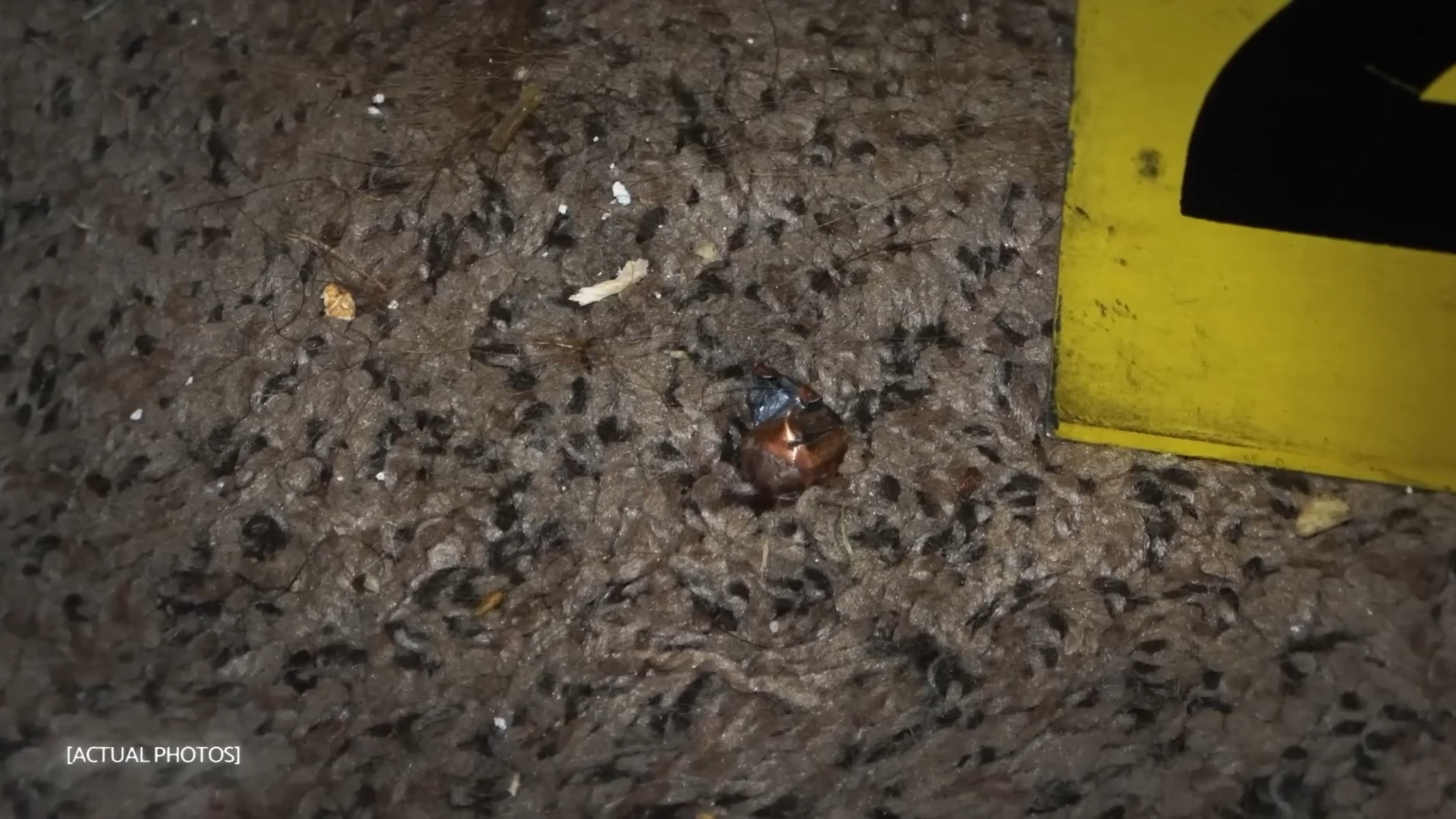 Killer Couple Realizes Cops Found Their Murder House V2612 010 Part 2