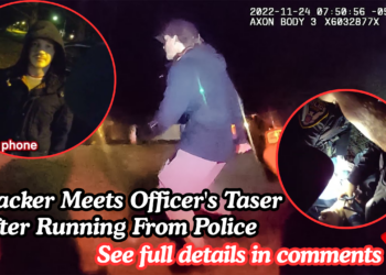 Carjacker Meets Officer’s Taser After Running From Police