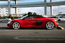 Woman Flashes a BB Gun at the Landscaper - Image 3