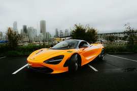 Woman Flashes a BB Gun at the Landscaper - Image 1