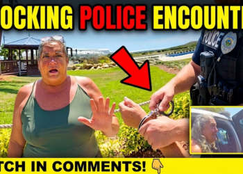 She Graduated From The Tik-Tok School Of Law