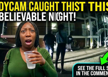 Terrible Mother Turns a Night Out Into 3 Felonies