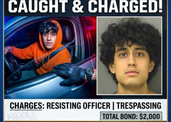 Guy Refuses To Get Out Of His Car, Ends Badly