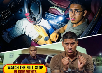 Guy Refuses To Get Out Of His Car, Leads To Felony