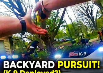 When You Were Never Told “No” as a Kid