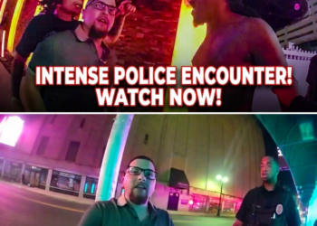 Fight Over Strippers Between Friends Leads to Multiple Felonies