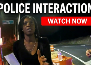 Lady Crashes Into Family and Then Does This