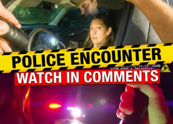 When TikTok Lawyer Meets No-Nonsense Cop