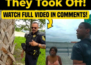 Florida Looters Shut Down I-75