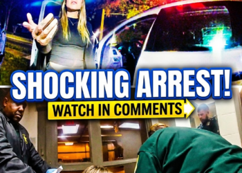 Karen Threatens Police After Wrong-Way Driving