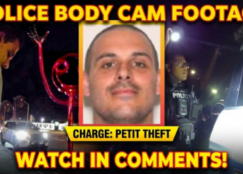 Florida Man Kidnaps Creepy Stick Figure, Walks It Around Town