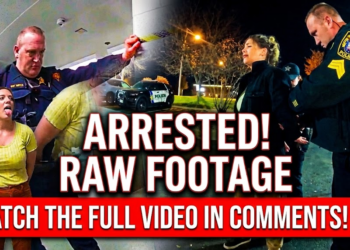 Driver Survives THIS- And Then Starts Fighting