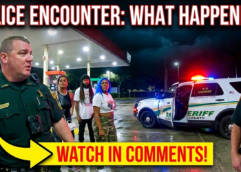 Angry Bystanders Turn a Traffic Stop into a Wild Standoff