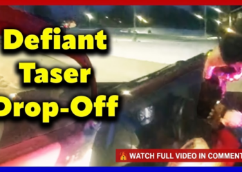 Mother Tased & Arrested at School Drop-Off for Breaking Protection Order