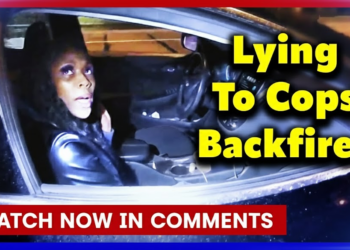 Cops Stumble Upon a Fake Minor Turned Wanted Felon During Routine Traffic Stop!