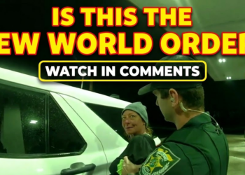 Jittery Junkie Turns Police Stop Into Spelling Bee Police Body Cam