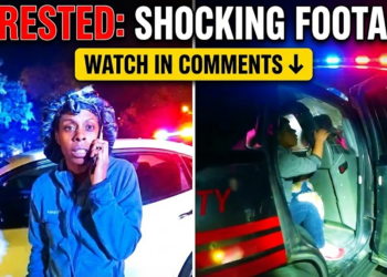 How To Catch a Felony at the Zoo