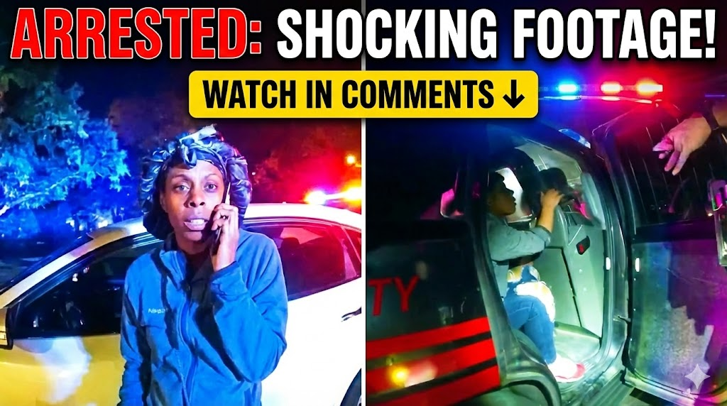 How To Catch a Felony at the Zoo