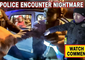 The Moment She Turns Her Traffic Stop Into 4 Felonies