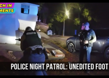 Lady Decides To Flee Police, Makes Things Worse