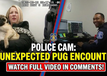 Drunk Karen SWATs Elderly Landlord, Prompts Epic Arrest Odyssey