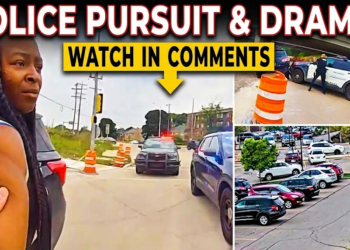 Shoplifters Meet Karma After Fleeing Police