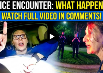 Lady Decides To Turn Traffic Stop Into Chaos