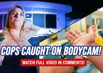 Simple Traffic Stop Turns Into 13 Charges