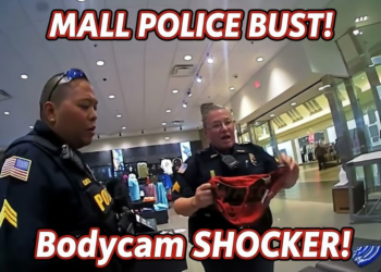 Shoplifter Forces Cops to Drag Her from the Mall