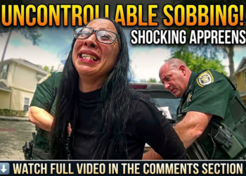 Mom with Kids Uses Fake Plates, Turns Simple Ticket Into Resisting Arrest