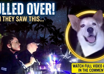 Duckmouth Drunk Runs Over Cop’s Foot & Obliterates Innocent Mailbox