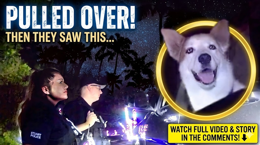 Duckmouth Drunk Runs Over Cop’s Foot & Obliterates Innocent Mailbox