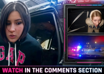 Armed Vehicle Vandals Can’t Outrun Karma (or the Law!)