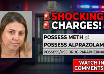 Lady Turns Simple Traffic Violation Into A Felony