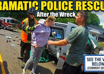 Woman Leads Police on 120mph Chase, Ends in Total Destruction