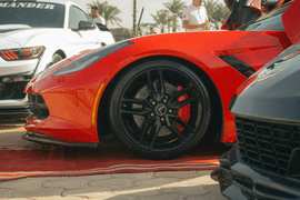 Predator Corners Kids, But Mama Bear Has a Surprise - Image 4