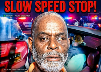 Driver Tased Twice While Screaming For His Mother During DUI Stop