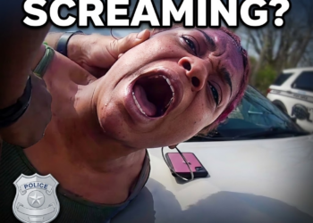 She Stole Her Grandma’s Car, Then Attacked Police