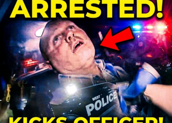 Entitled Drunk Millionaire Arrested for Kicking an Officer