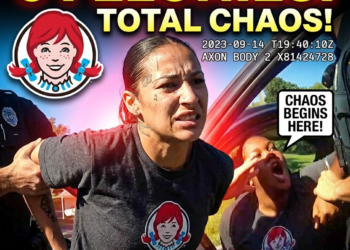 Traffic Stop on Wendy’s Workers Leads to 6 Felonies & Complete Chaos
