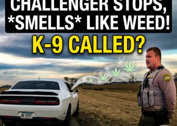 Dodge challenger takes off after pulling over on Arkansas State troopers #policepursuit #policechase