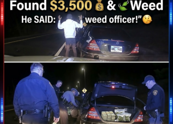 Driver tries to throw weed out the window but trooper wasn’t going for it #policechase #pursuit