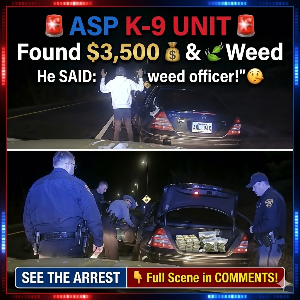 Driver tries to throw weed out the window but trooper wasn’t going for it #policechase #pursuit
