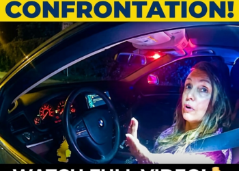 How a Simple Traffic Stop Ended in Total Disaster